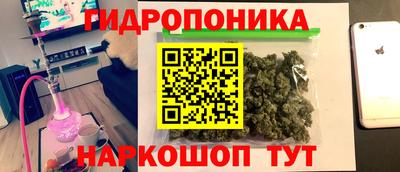 apvp Обнинск