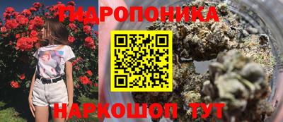 гашик Нягань