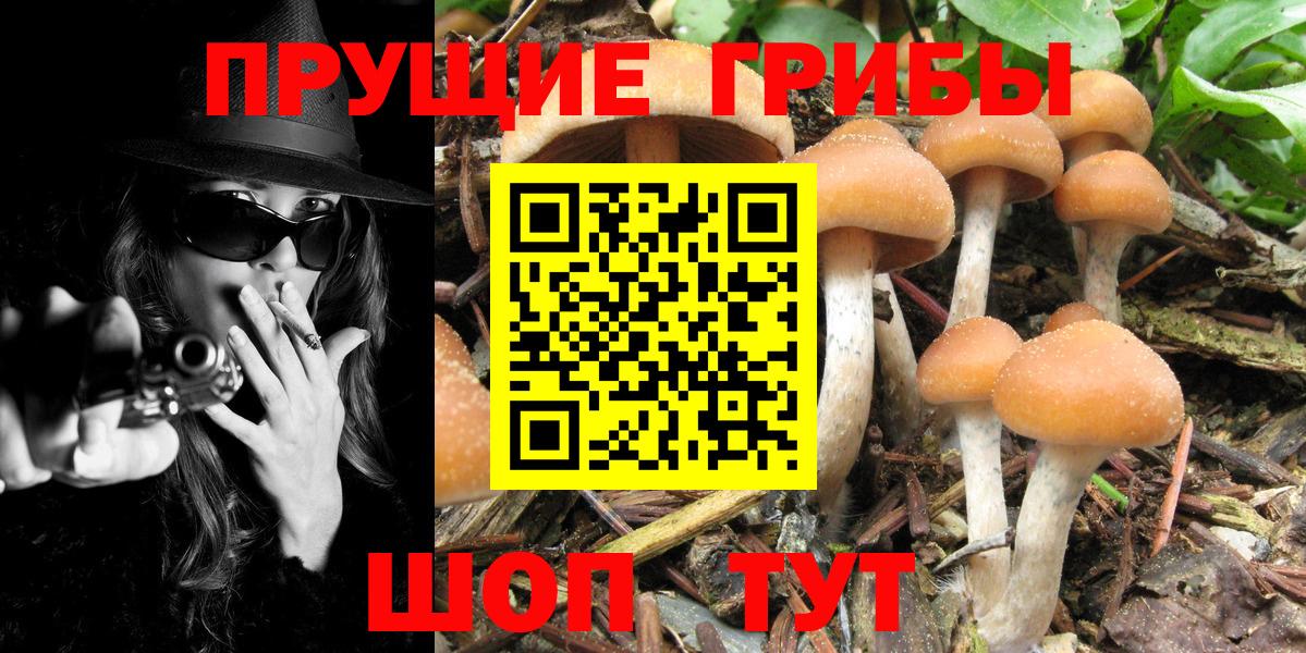 Галлюциногенные грибы мицелий Советск